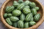 CUCUMBER