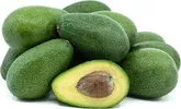AVOCADO FUERTE