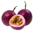 GRAFTED PASSION PURPLE