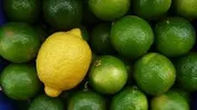 LEMONS