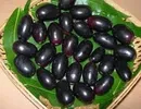 ZAMBARAU