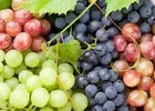GRAPES