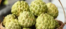 CUSTARD APPLE
