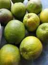 MINORA ORANGE