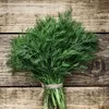DILL