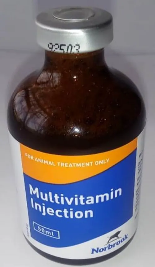 MULTI VITAMIN INJ 100ML NORB