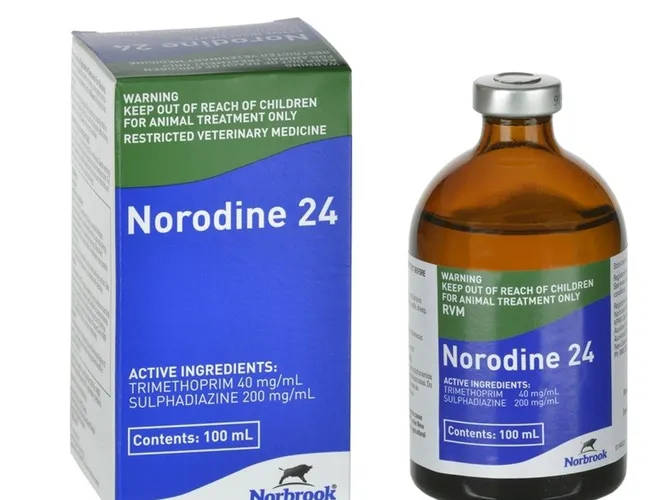 NORODINE-24 100MLS