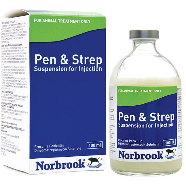 PENSTREP 50MLS NORBROOK