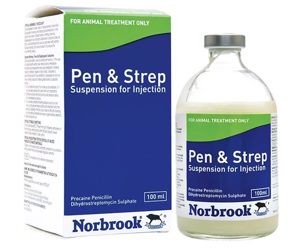 PENSTREP 100MLS NORBROOK