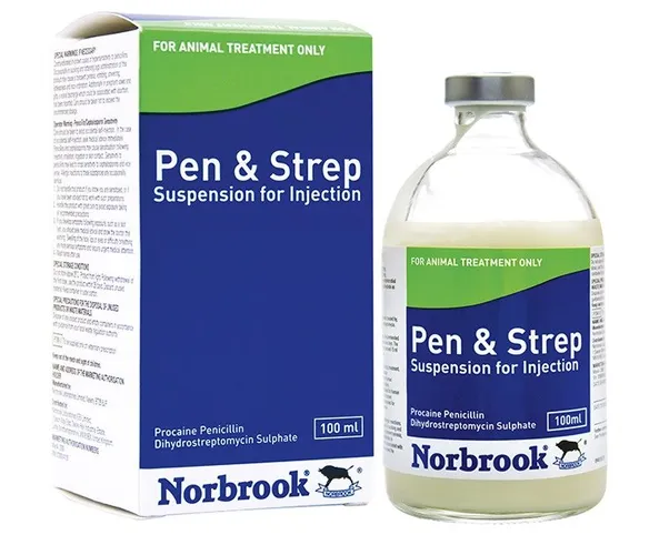 PENSTREP 50MLS NORBROOK