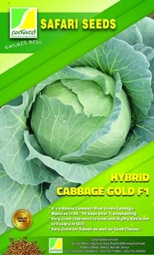 CABBAGE GOLD F1 SAFARI 10GM