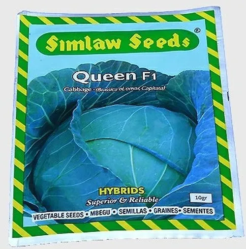 CABBAGE QUEEN 5GMS