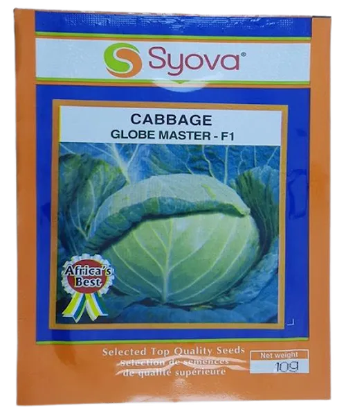 CABBAGE GLOBE MASTER F1  5GMS