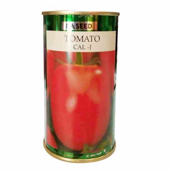 TOMATO CAL-J 50GMS EA