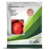 TOMATO ASSILA 50GMS SEMINIS