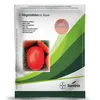 TOMATO ASSILA 5GMS SEMINIS