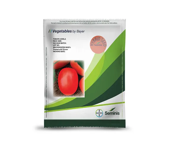 TOMATO ASSILA 5GMS SEMINIS