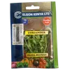 CORRIANDER DHANIA 500GM ELGON