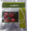 TOMATO TYLKA  100SD