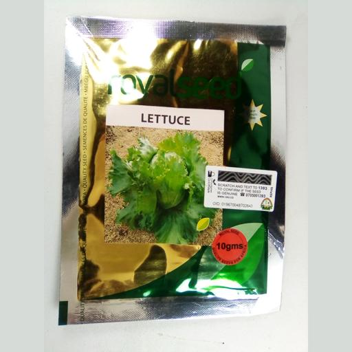 LETTUCE ICEBERG MARULLI 10GMS KENYA HIGHLAND