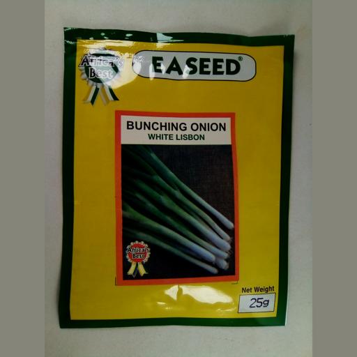 ONION BUNCHIN WHITE LIISBON 25G - EA