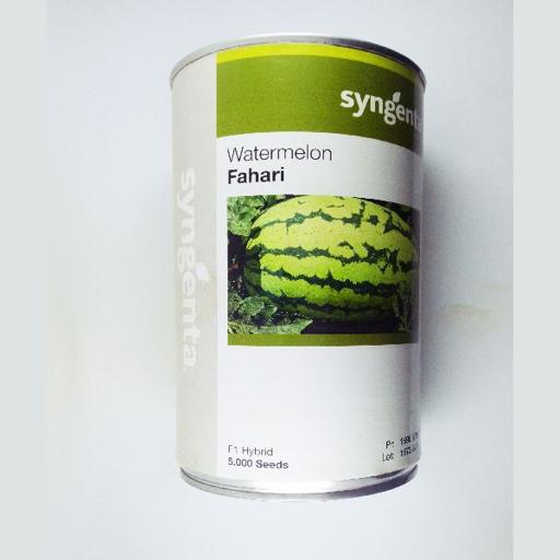 W MELON FAHARI F1 5000SDS SYNGE