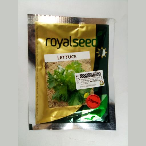 LETTUCE ICEBERG MARULLI 25GMS KENYA HIGHLAND