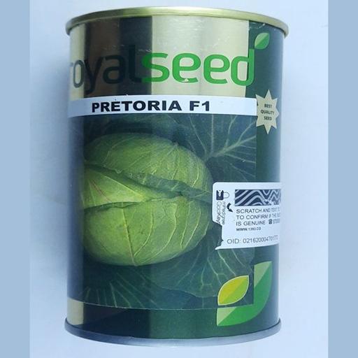 CABBAGE PRETORIA F1 100GMS