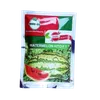 W MELON KITO F1 50GMS SEEDCO