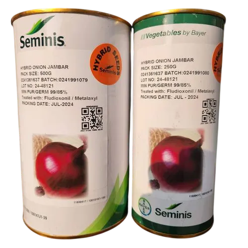 ONION JAMBAR F1 500GMS