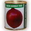 ONION BOMBAY RED 500G EA