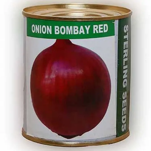 ONION BOMBAY RED 500G EA