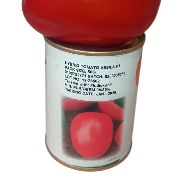 TOMATO ASSILA 100 SEEDS SEMIN