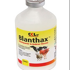 BLANTHAX VACCINE 100MLS