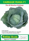 CABBAGE RIANA HYBRID 25GMS