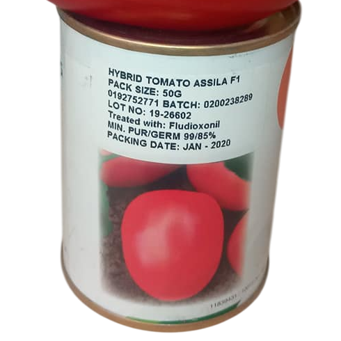 TOMATO ASSILA 1,000 SEEDS SEMI