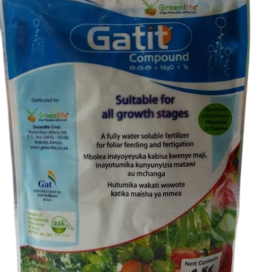 GATIT 19:19:19 COMPOUND 250GM