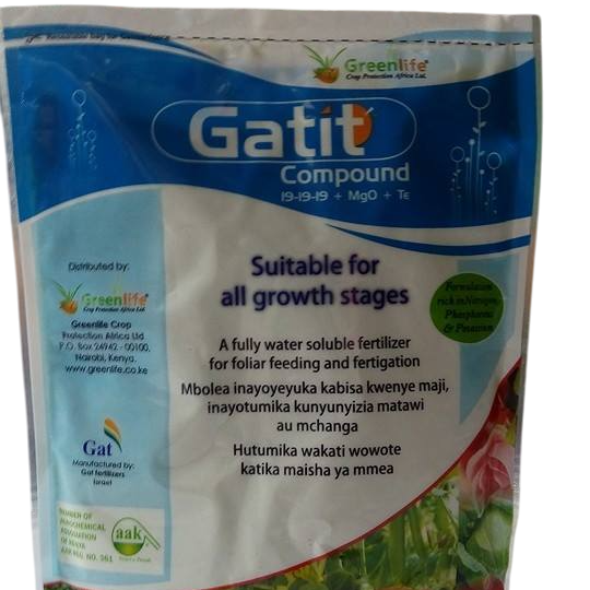 GATIT 19:19:19 COMPOUND 500GM