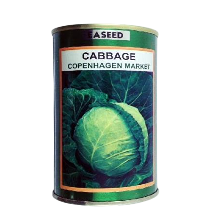 CABBAGE COPENHAGEN 50GM SIM