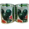 W MELON SUGARBABY  500GMS SIM
