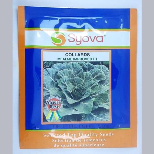 COLLARDS MFALME F1 IMPROVED 25GM EA