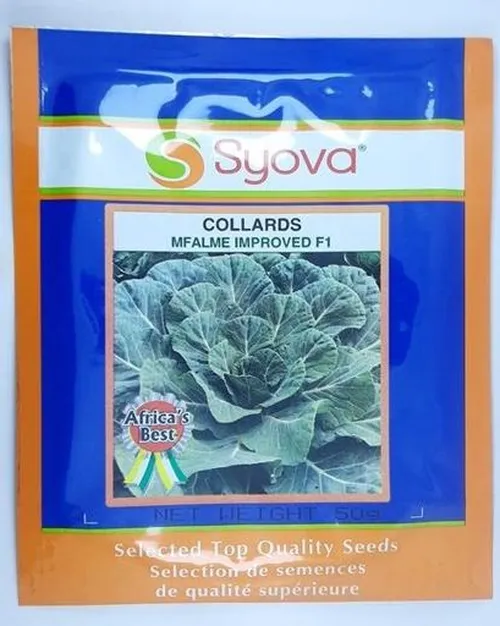 COLLARDS MFALME F1 IMPROVED 25GM EA