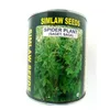 SAGET (SPIDER PLANT) 100GM SIM