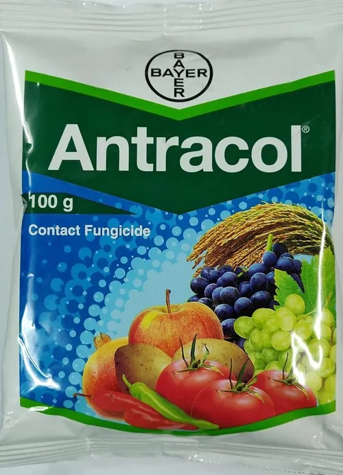 ANTRACOL 100GMS