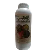 BLOSSOM 1LTR