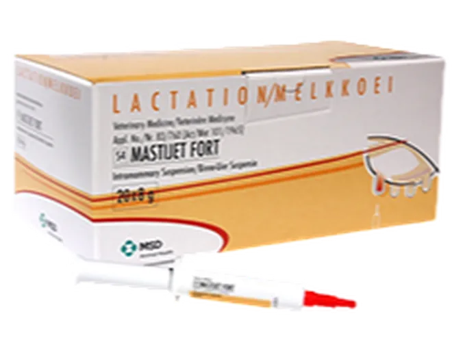 MASTIJECT FORTE 8GMS