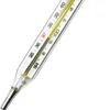 THERMOMETER CLINICAL LARGE