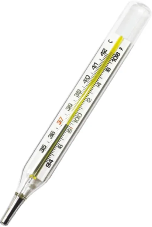 THERMOMETER CLINICAL LARGE