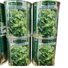 PASTURE GRASS DESMODIUM (GREEN LEAF) 1KG