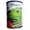 W MELON TIGER F1 250GMS